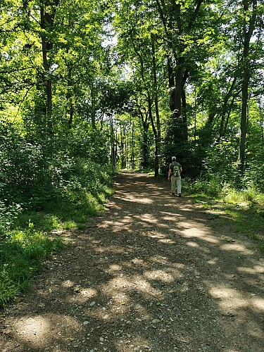 Dans la plaine de l’Est lyonnais