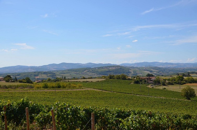 Saint-Jean-des-Vignes - Espace des Pierres Folles