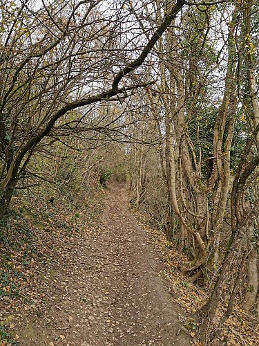 Le Val de Saône en toile de fond