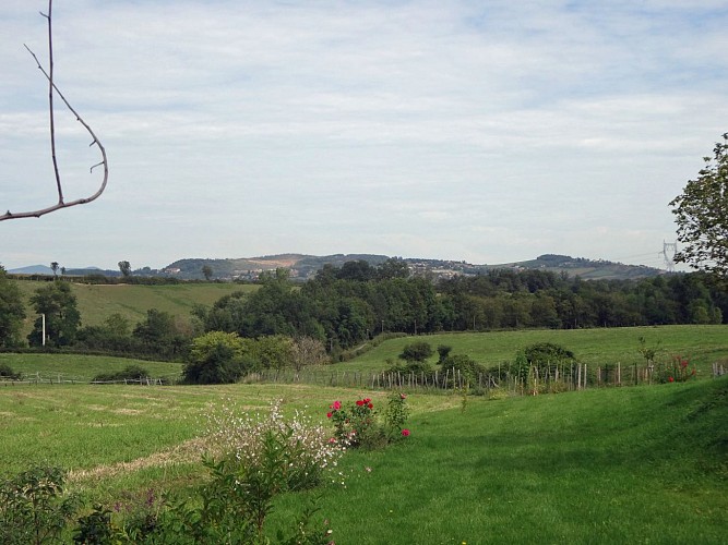 La Tour-de-Salvagny - Prenez de la hauteur !