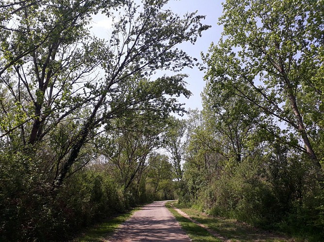 Parc de Miribel-Jonage - Les Gabions des Allivoz