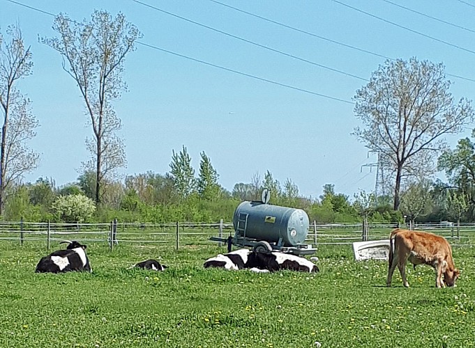 Parc de Miribel-Jonage - Paysages cultivés