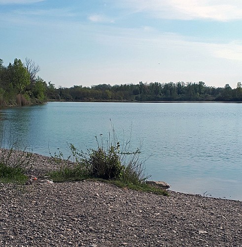 Meyzieu - Parc de Miribel-Jonage - Un fleuve, une île et des hommes