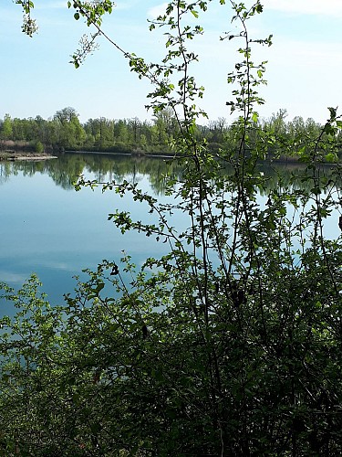 Parc de Miribel-Jonage - Tour du lac des Allivoz