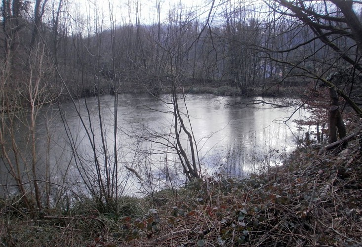Lissieu - Rando douce - Du Bois Dieu à Limonest