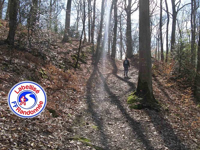 Bastions en forêt de Dreux