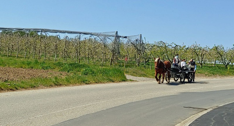 Irigny – Les deux forts - Rando santé