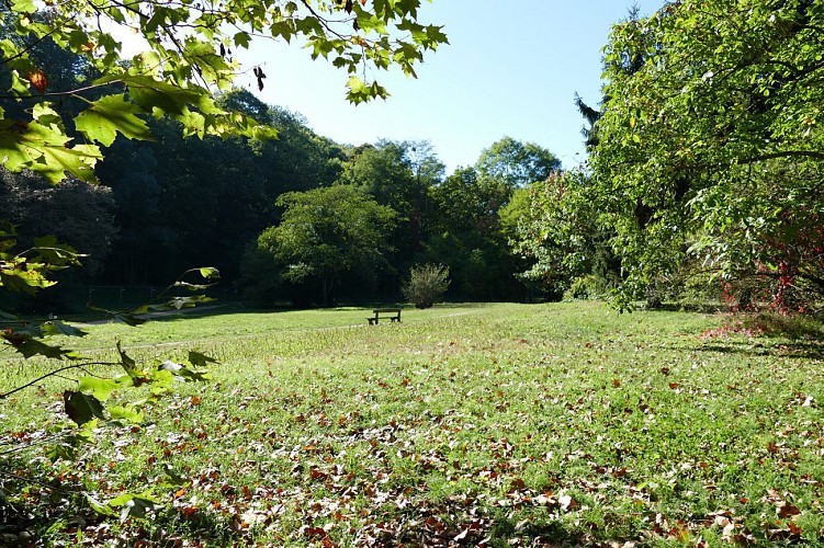 Sainte-Foy-les-Lyon – Rando santé - De Sainte-Foy-les-Lyon à Oullins par l'Yzeron