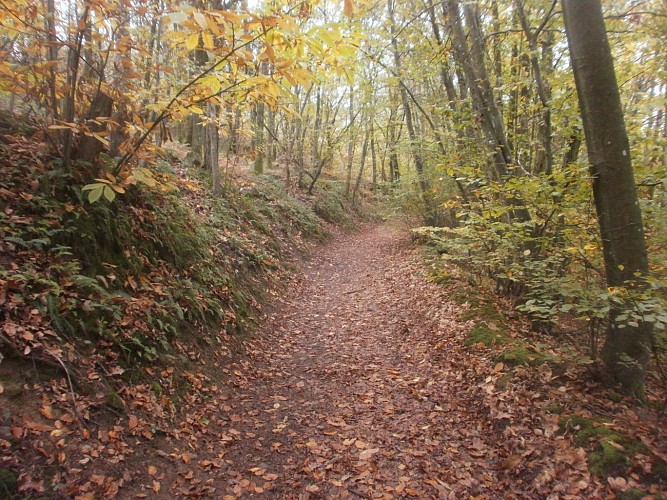 Marcy-l'Etoile - À l'assaut des monts du Lyonnais