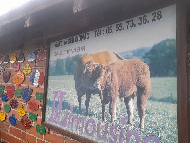 Elevage Germinac - A la découverte de Beyssenac - Beyssenac - © N.Jumelle - Office de tourisme Terres de Corrèze