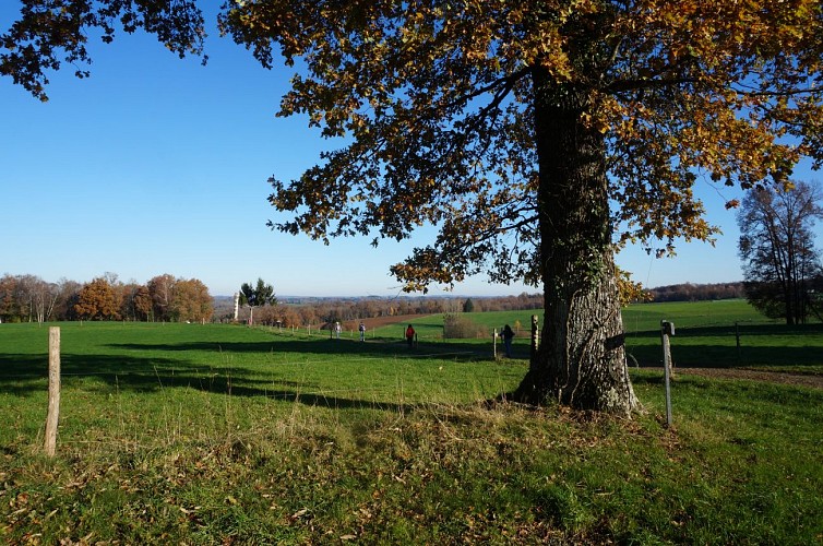 Présentation - A la découverte de Beyssenac - Beyssenac © N.Jumelle-  Office de tourisme Terres de Corrèze (4)