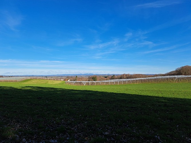 Vue panoramique la Grage Vieille - Beyssac © J.Lautrete  (2)
