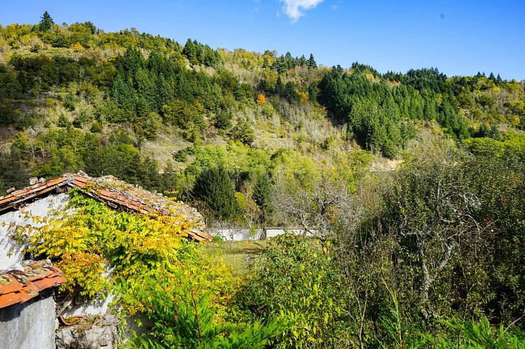 L'Hôpital sous Rochefort
