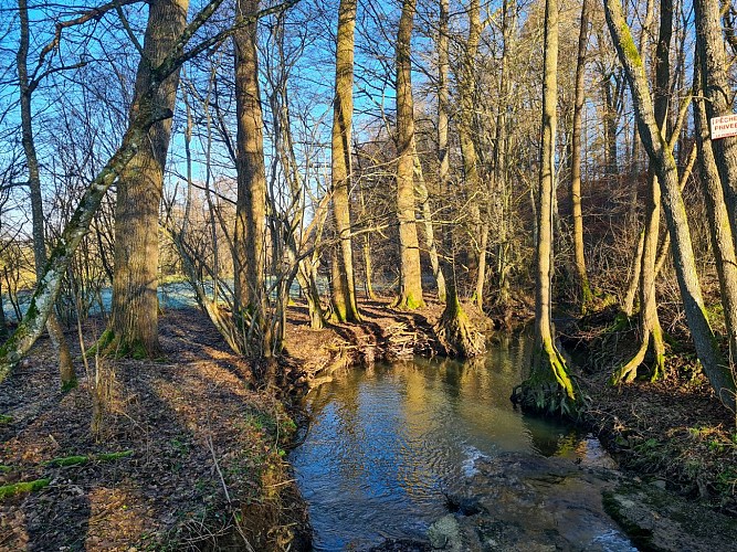 Linaigrette©JuliendeHemptinne (1)br