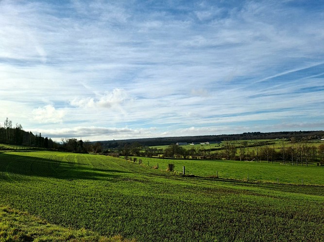 Marguerite©JuliendeHemptinne (3)br