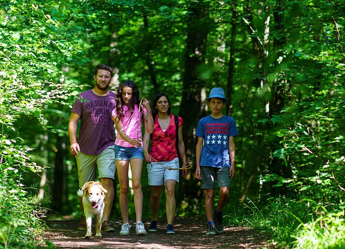 Promeneurs générique