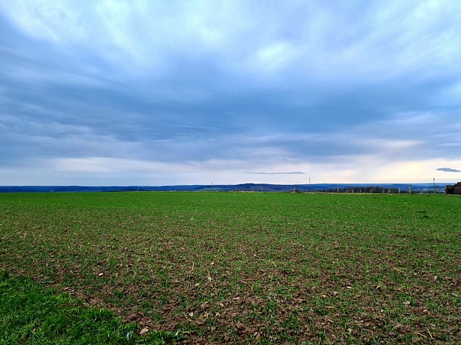 Capucine©JuliendeHemptinne (12)br