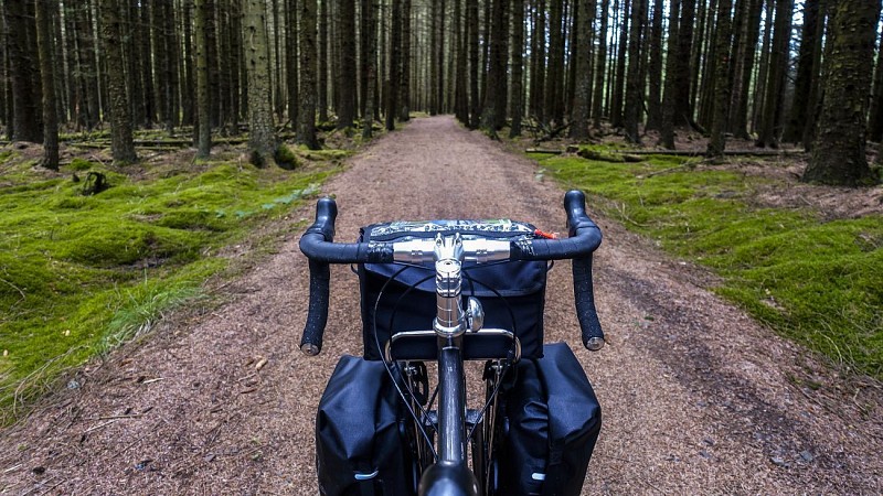 Balade dans les bois de Vielsalm