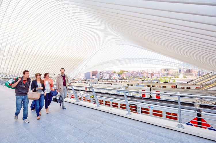 Liège - Gare de Liège-Guillemins - architecte Santiago Calatrava