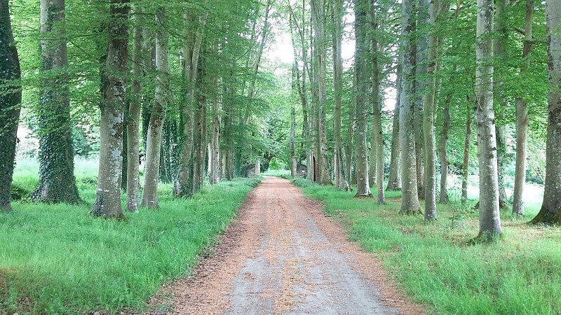 Boucle Saint Jagut | Randonnée Plestin Les Grèves