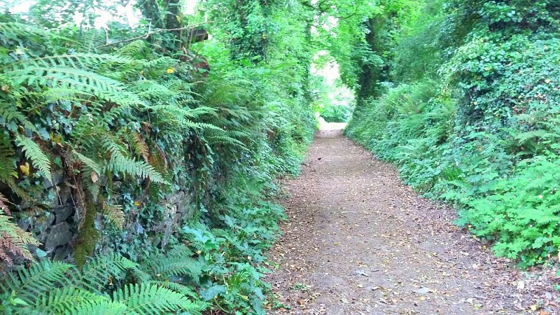 Boucle Saint Jagut | Randonnée Plestin Les Grèves