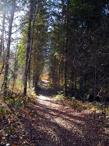 chemin