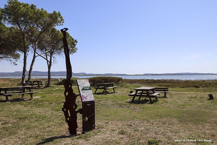 Sentier de randonnée Bages : Dans le sillage de l'anguille