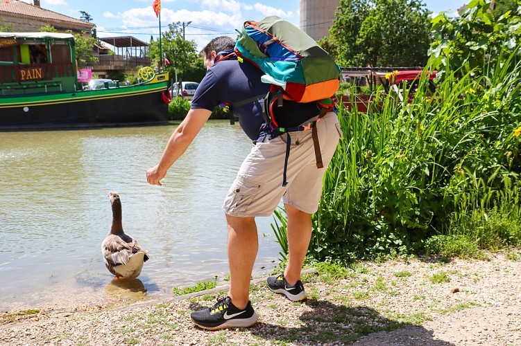 7 / Le Somail : autour du Canal