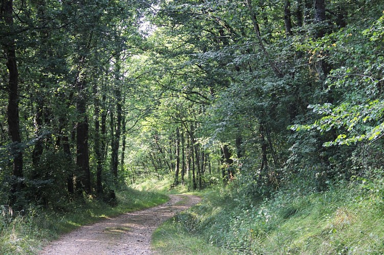 Entre Bigorre et Gascogne