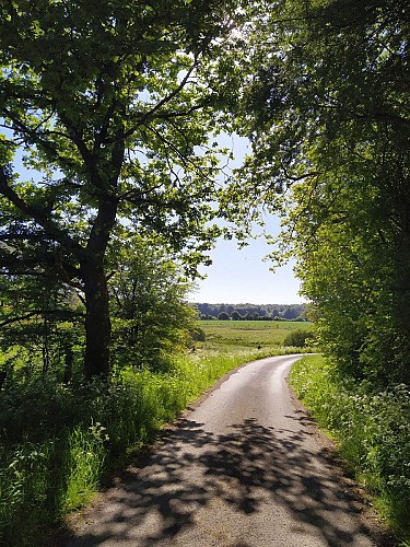 Houdremont-2020.été-prom Plate Pierre-(AG)jpg (22)