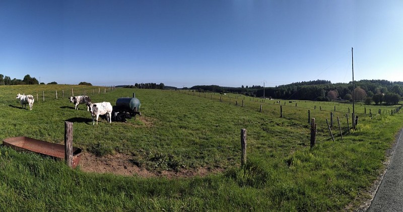 Houdremont-2020.été-prom Plate Pierre-(AG)jpg (26)
