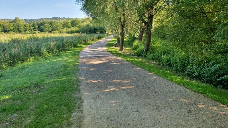 Voie Verte "Chemin entre Verre & Mer"