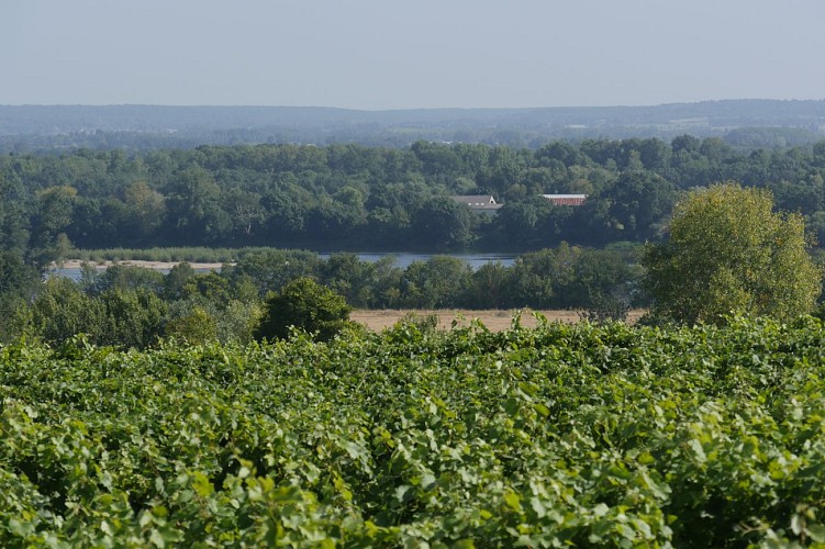 GR® de Pays Saumur Val de Loire