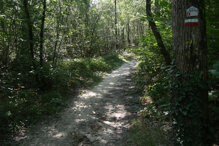 GR® de Pays Saumur Val de Loire