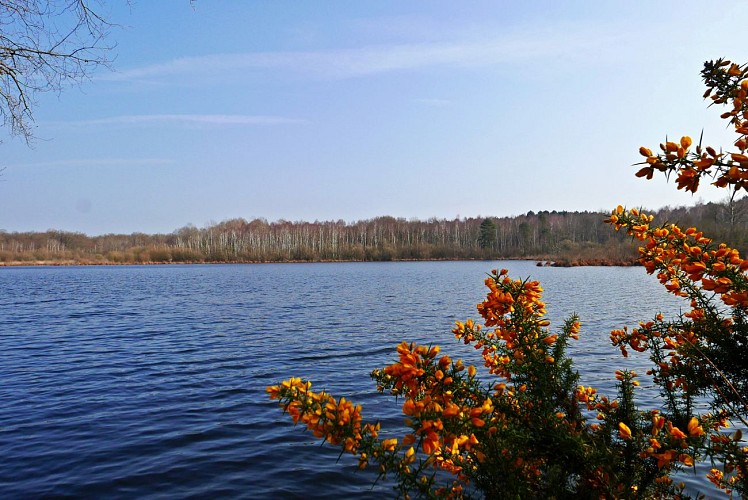 GR® de Pays Saumur Val de Loire