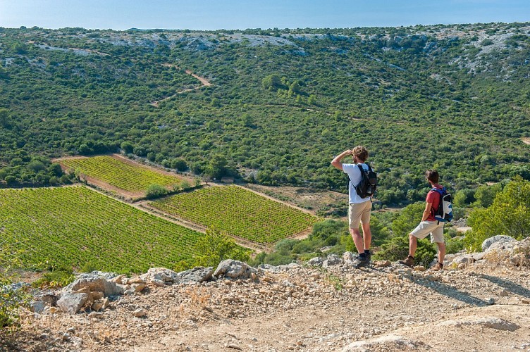 78 / Roquefort des Corbières : les bornes milliaires
