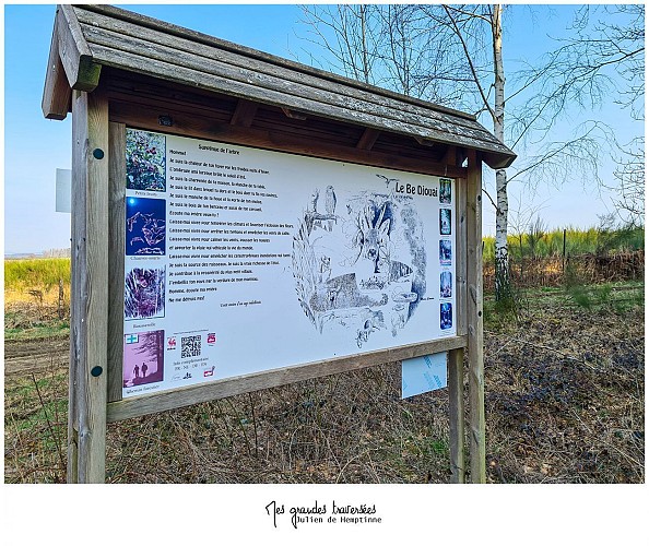 NG18 Promenade du Bé Djouai - Nassogne - Markierung grünes Kreuz