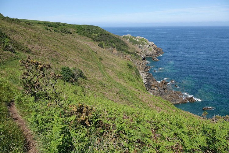 Locquirec - Plougasnou