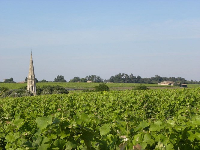 Village_Sauternes_Vignoble_800