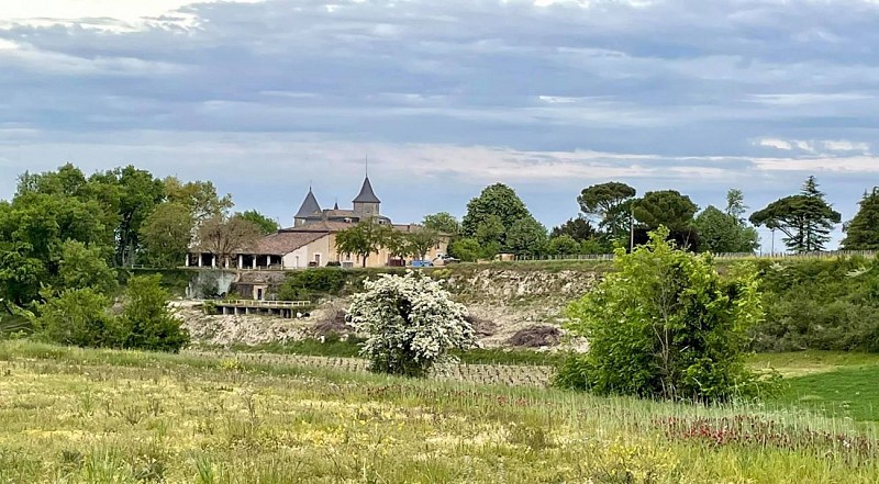 178392618_2736934979952427_2270895399739936052_n