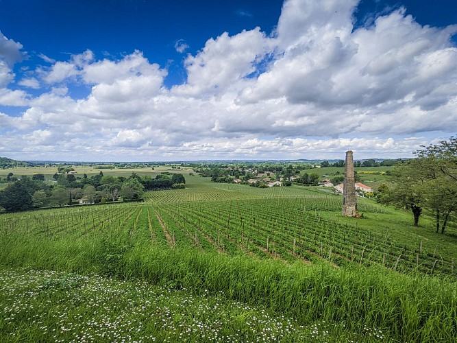 Vue_depuis_l_eglise_Saint-Pierre_-_Pujols_-_OTCP_E_Gaye_2021