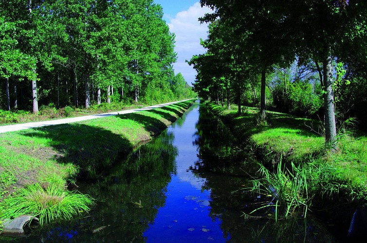 les-marais-Saint-Laurent