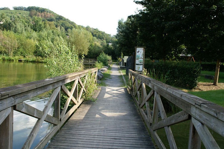 NG09 Promenade de la Hagette - Forrières - Blauwe ruitmarkeringen