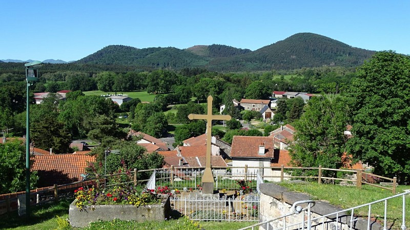Balade_en_forêt_Randonnée_Clermont_Ferrand