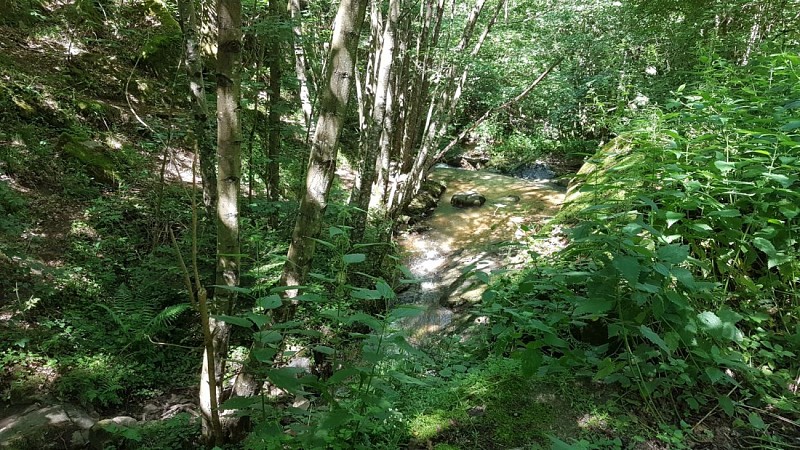Les gorges de l'artière
