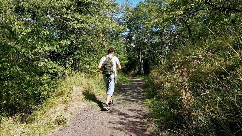 Montaudoux-Vallières