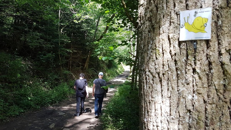 Randonnée au bord de l'Artière