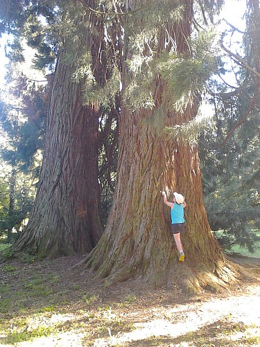 Balade en poussette Parc thermal Châteauneuf les Bains