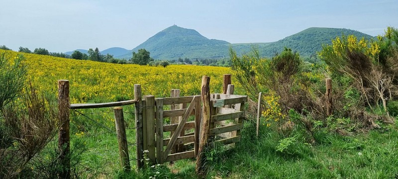 Croix de Ternant - Hike from the Goules parking lot_Orcines
