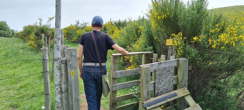 Croix de Ternant - Hike from the Goules parking lot_Orcines
